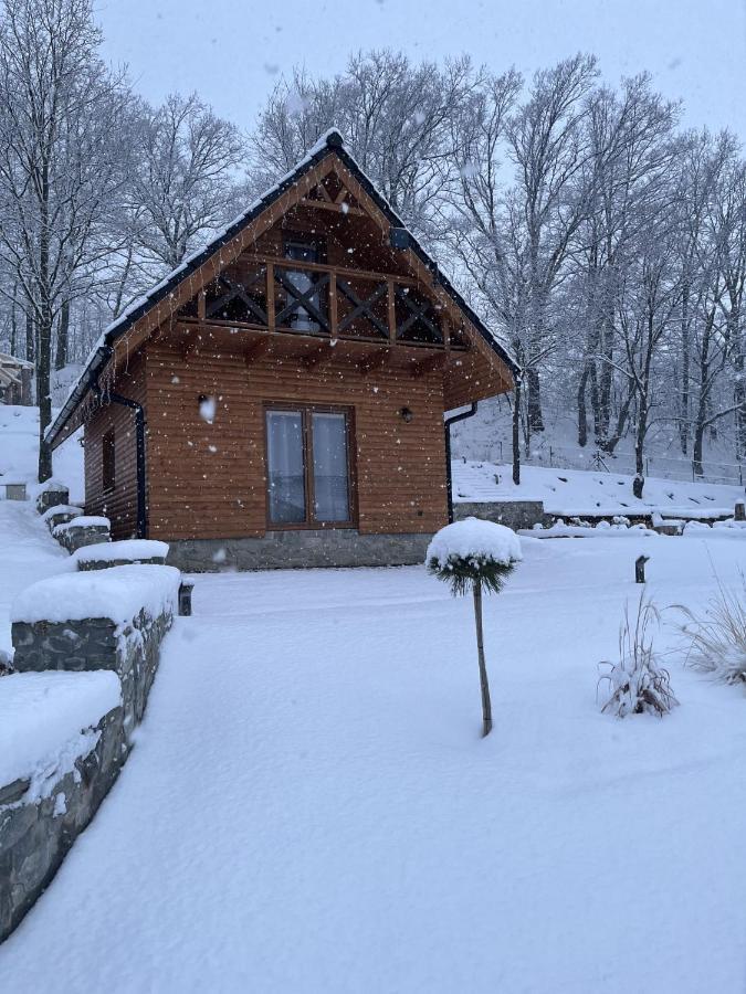 Apartment W Gorach Bardzkich *